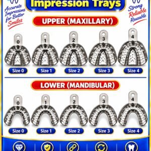 Stainless Steel Impression Trays (Size 0-4) Pack of 10